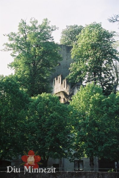 Seitenansicht des ehemaligen Kirchenbaus aus der frhen Gotik auf der Rckseite der Burg
