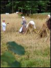 Spätmittelalterliche Bauern bei der Ernte des Sommergetreides