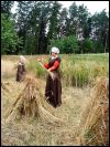 Bäuerliches Leben im späten Mittelalter Bäuerliches Leben im späten Mittelalter